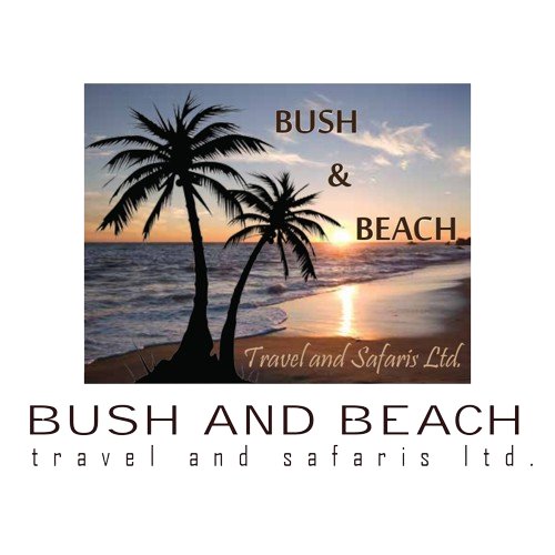 Bush and Beach